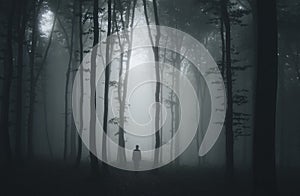 Silhouette of man in dark haunted scary forest on Halloween night photo