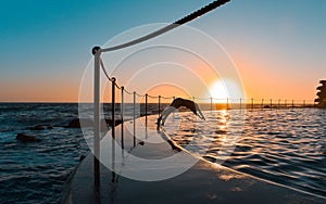 Silhouette of a man diving into a pool at sunrise