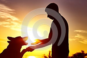 Silhouette of a man with dog in the field at sunset, the pet giving paw to his owner, the concept of active leisure and friendship