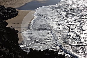 Silhouette of man and dog having fun on seaside.