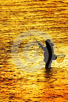 Silhouette of Man Flyfishing Fishing in River Golden Sunlight surrounding him early morning fisherman
