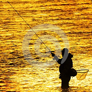 Silhouette of Man Flyfishing Fishing in River Golden Sunlight surrounding him early morning fisherman