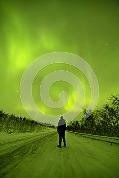 Silhouette of a man looking at the northern lights dance in the arctic night