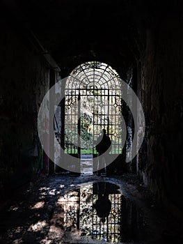 Silhouette of a man observing the outside world looking from the grate of a door