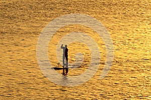 Silhouette of man paddleboarding