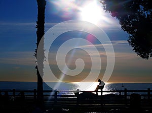 Silhouette of Man Playing Guitar By the Sea at Dusk