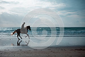 Silhouette of a Man Riding a Horse Against the Sunlight on a Beach