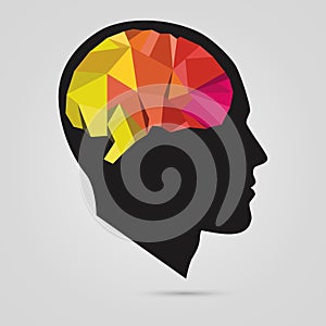 The silhouette of a man's head with abstract brain. Vector