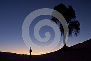 Silhouette of a man sitting alone under a tree