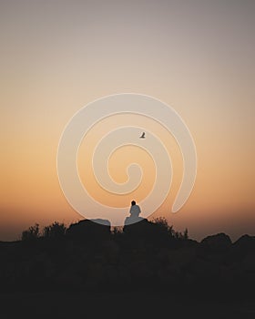 Silhouette of the man sitting on the rock with a bird flying against a sunset