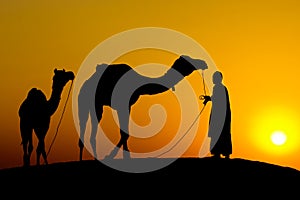 Silhouette of a man and two camels