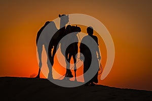 Silhouette of man and two camels at sunset in Thar desert near Jaisalmer, Rajasthan, India