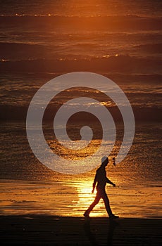 Silhouette of man walking on beach at sunset