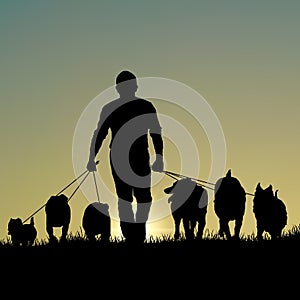 Silhouette of man walking dogs at sunset template