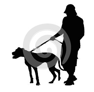 Silhouette of Man Walking His Dog