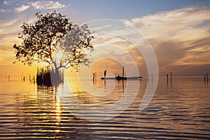 Silhouette of mangrove tree and fisherman in fishing boat at sunrise over lake