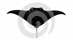 Silhouette of Manta Ray
