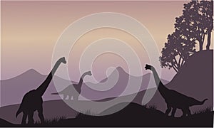 Silhouette of many brachiosaurus