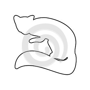 Silueta de marta icono. elemento de jardín zoológico móvil a telarana aplicaciones icono. describir delgado línea icono sitio telarana diseno a 