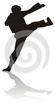 Silhouette of martial arts
