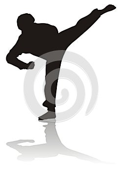 Silhouette of martial arts