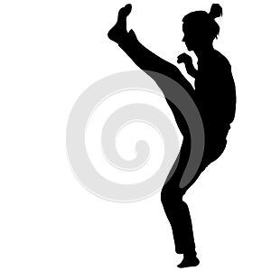 Silhouette of a Martial Arts on a white background