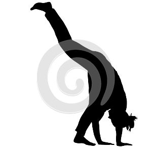 Silhouette of a Martial Arts on a white background