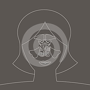 Silhouette maxillary sinus medical illustration. sinusitis disease, vector nose illustration, sinus anatomy, human respiratory
