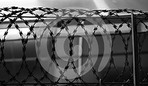 SILHOUETTE METAL RAZOR WIRE FENCING