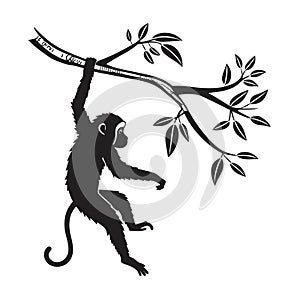 Silhouette of monkey hanging from a leafy branch vector