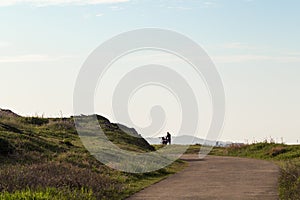 Silhouette of a motorbiker next to a road and meadow