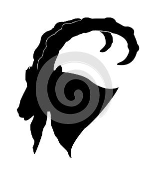 Silhouette of the mountain ram