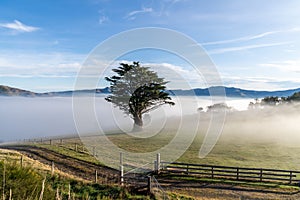 Silhouette of mountains in the misty morning. View of the mountains in early winter. Beautiful nature landscape. Bank Peninsula,