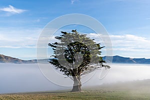 Silhouette of mountains in the misty morning. View of the mountains in early winter. Beautiful nature landscape. Bank Peninsula,