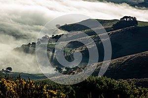 Silhouette of mountains in the misty morning. View of the mountains in early winter. Beautiful nature landscape. Bank Peninsula,