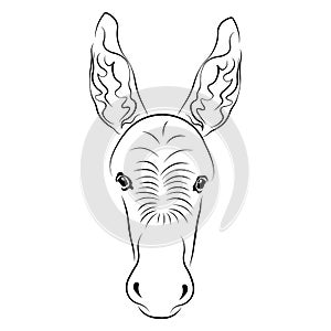 The silhouette of the muzzle of a donkey is drawn in black with different lines. The design is suitable for animal logos, tattoos