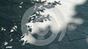 silhouette natural leaves shadow on grange pavement cement floor or wall background