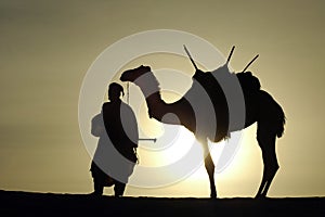 Silhouette of a nomad and camel photo