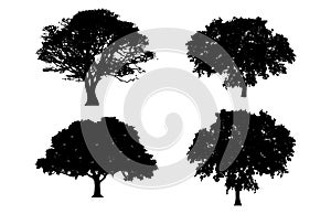 Silhouette Oak Trees clipart Set