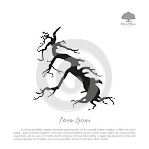 Silhouette of the old broken tree on a white background. Black d