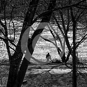 A silhouette of an old man sitting by the river fishing next to a running track