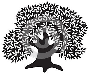 Silhouette of the old olive tree