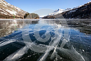 Silhouette of an old tree with dry branches at the water sid