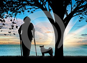 Silhouette of an old woman on crutches and her dog