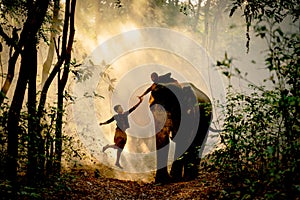 Silhouette of one boy jump and touch hand of the other boy stay on back of elephant with sun beam light in background