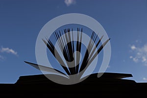 Silhouette of open book