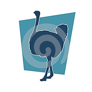 Silhouette of an ostrich bird animal with long neck and long legs.