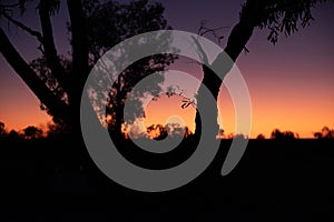 Silhouette in the Outback, South Australia