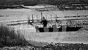 A silhouette of an oyster fisherman.