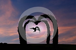 The silhouette of a pair of birds flying in the arch of a heart-shaped tree in the lit sky